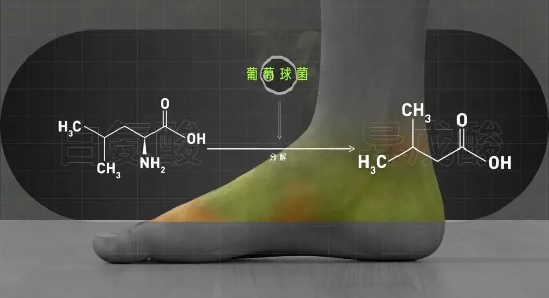 Vol/Vol.129 为什么你的脚这么臭/5.jpeg