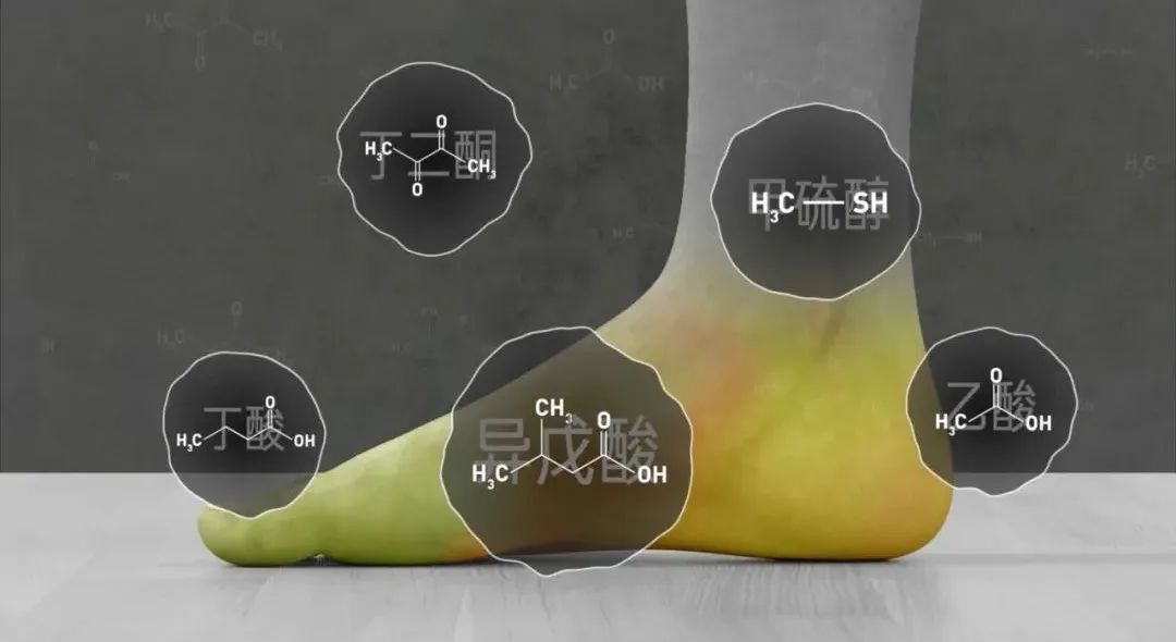 Vol/Vol.129 为什么你的脚这么臭/6.jpeg