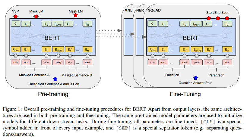 Fig1_pretrain_finetune