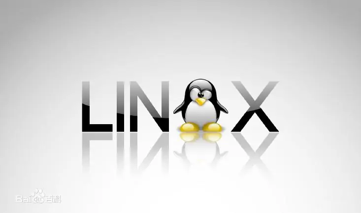 Linux的使用