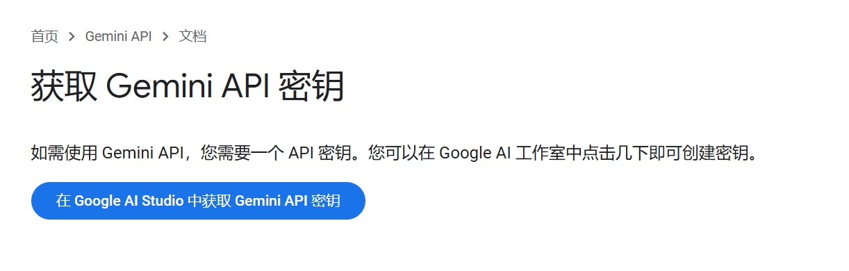 /gemini_api_key