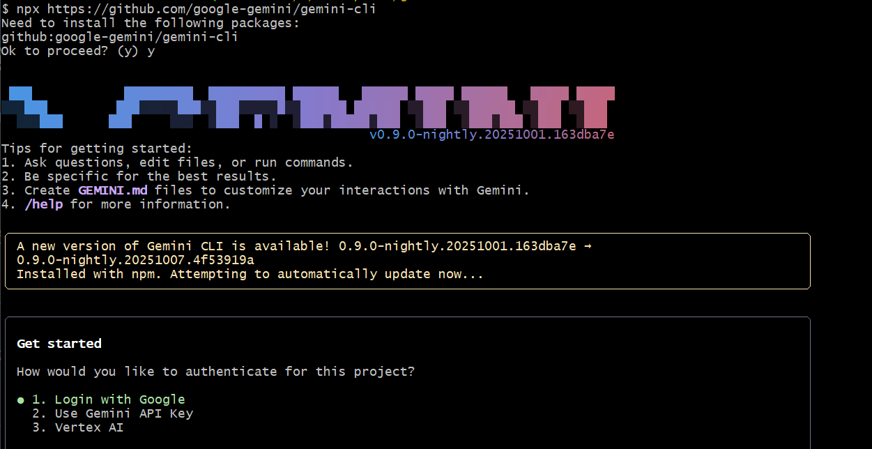 gemini_cli_01.png