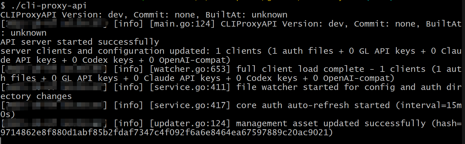 gemini_cli_15.png