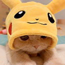 hojun