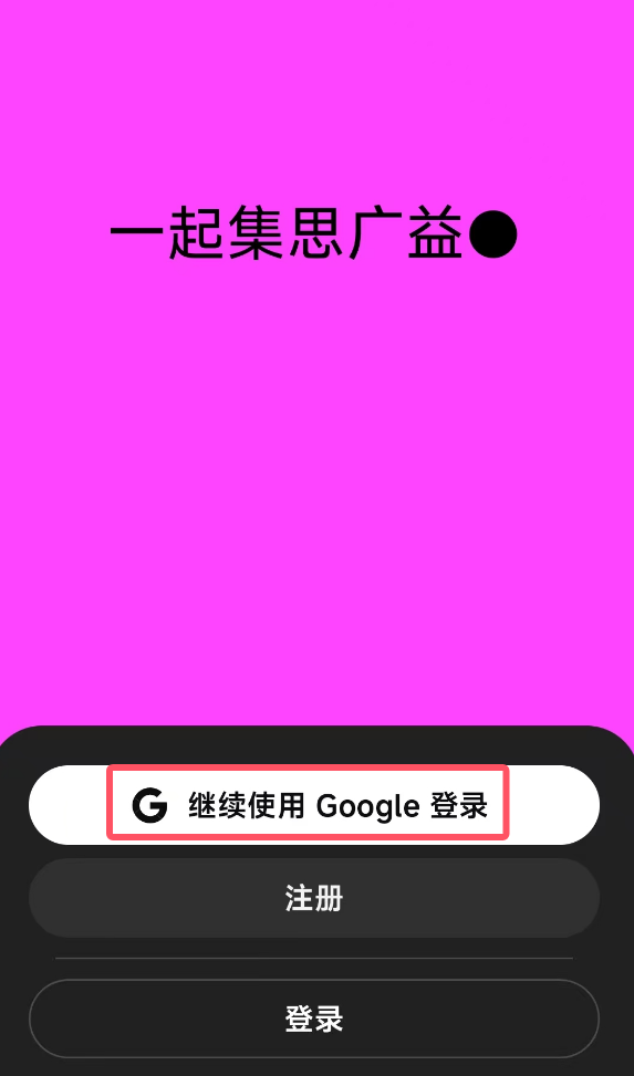 Google 帐号登录