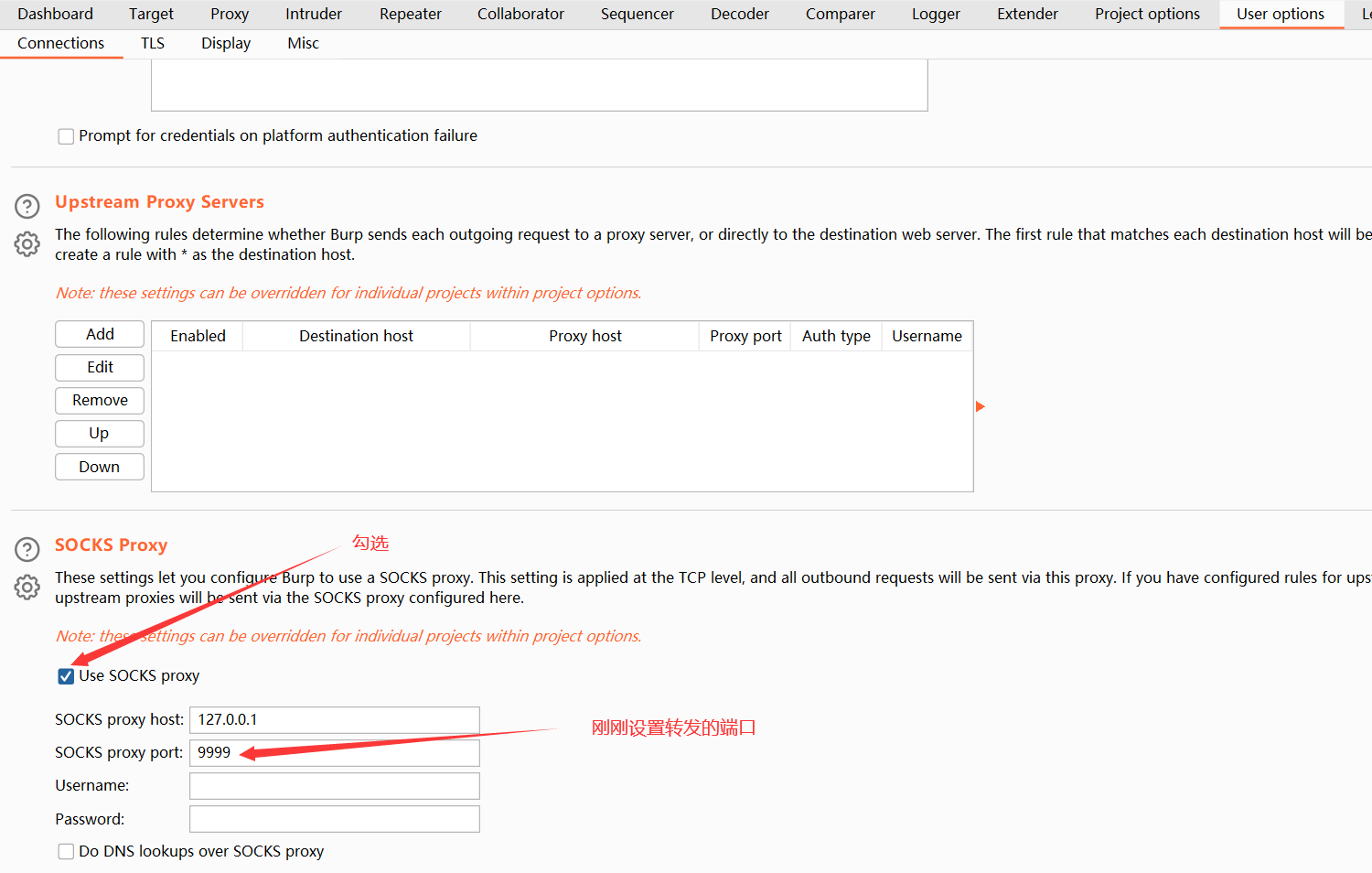 burpsuite上设置好socks代理