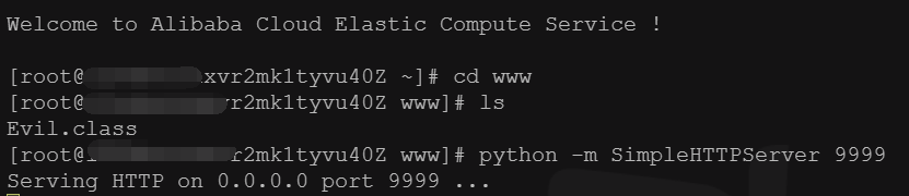 在远程服务器上开启http服务