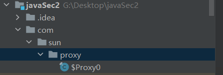 com.sun.proxy.$Proxy0.class