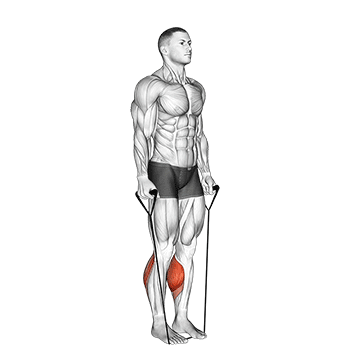 Band Two Legs Calf Raise - (Band Under Both Legs) V. 2