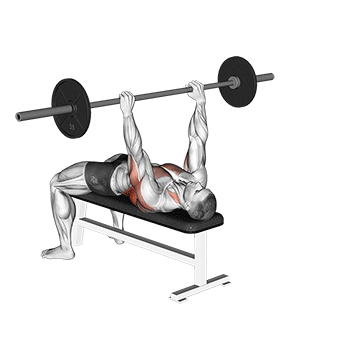 Barbell Bent Arm Pullover