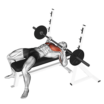 Barbell Guillotine Bench Press