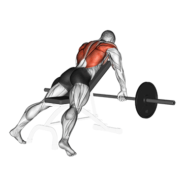 Barbell Incline Row