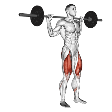 Barbell Rear Lunge