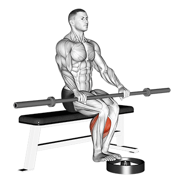 Barbell Seated Calf Raise