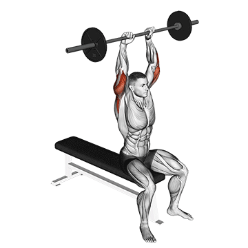 Barbell Seated Overhead Triceps Extension