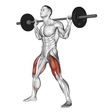 Barbell Wide Squat