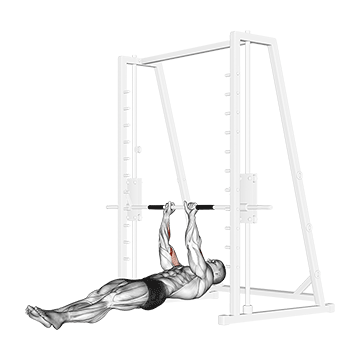 Biceps Narrow Pull-Ups