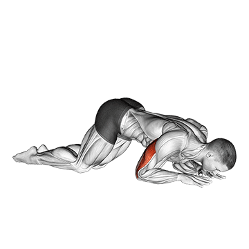 Bodyweight Kneeling Triceps Extension