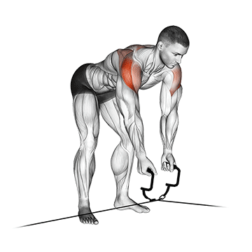 Cable Cross-Over Revers Fly