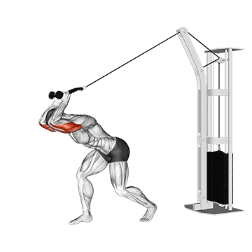 Cable High Pulley Overhead Tricep Extension