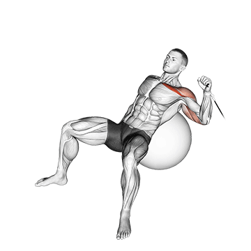 Cable One Arm Incline Press On Exercise Ball
