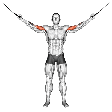 Cable Overhead Curl