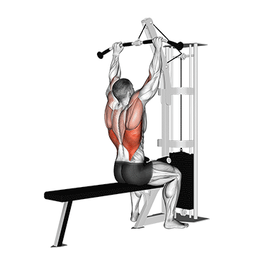 Cable Pulldown