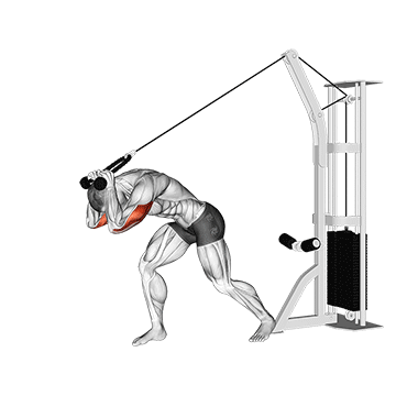 Cable Rope High Pulley Overhead Tricep Extension
