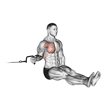 Cable Seated Shoulder Internal Rotation