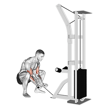 Cable Squatting Curl