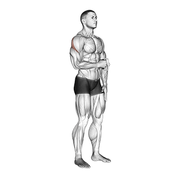Cable Standing Shoulder External Rotation