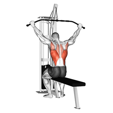 Cable Wide Grip Rear Pulldown Behind Neck