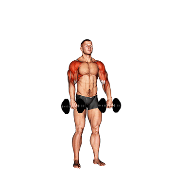 Dumbbell Cuban Press V. 2