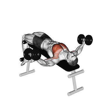 Dumbbell Decline Fly