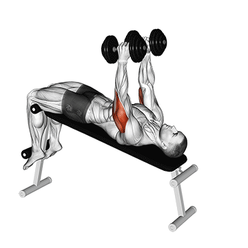 Dumbbell Decline Triceps Extension
