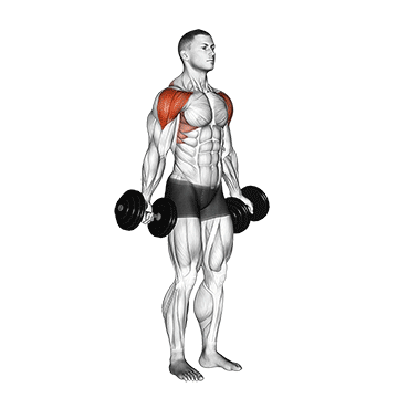 Dumbbell Full Can Lateral Raise