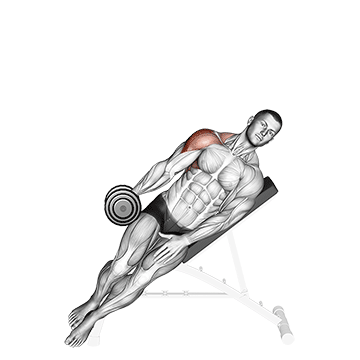Dumbbell Incline One Arm Lateral Raise