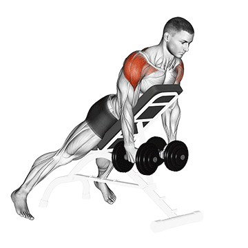 Dumbbell Incline Rear Lateral Raise