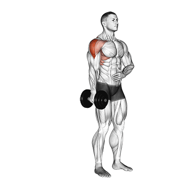 Dumbbell One Arm Lateral Raise