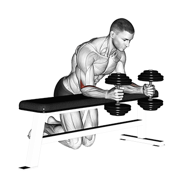 Dumbbell Over Bench Neutral Wrist Curl
