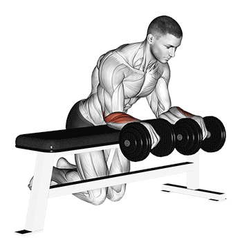 Dumbbell Over Bench Wrist Curl