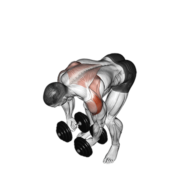 Dumbbell Rear Lateral Raise