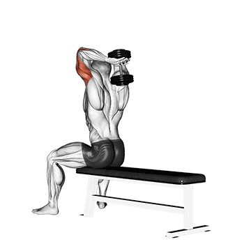 Dumbbell Seated Bench Extension