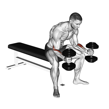 Dumbbell Seated Neutral Wrist Curl