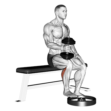 Dumbbell Seated One Leg Calf Raise - Hammer Grip