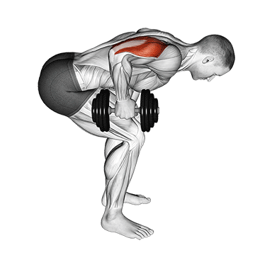 Dumbbell Standing Bent Over One Arm Triceps Extension