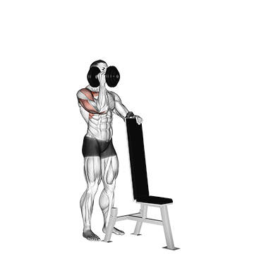 Dumbbell Standing One Arm Palm In Press