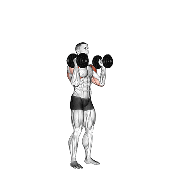 Dumbbell Standing Palms In Press
