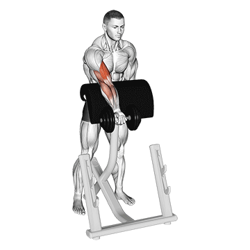 Dumbbell Standing Zottman Preacher Curl