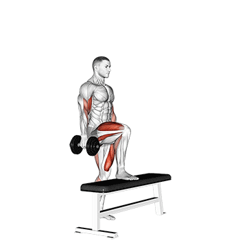 Dumbbell Step Up Single Leg Balance With Bicep Curl